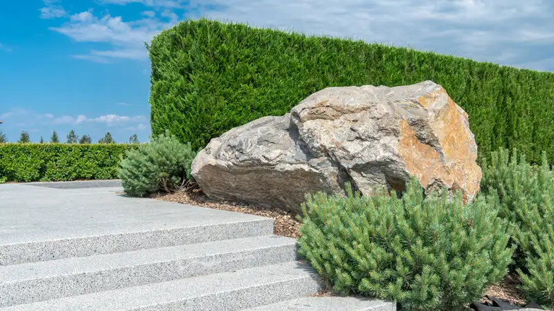 home-cat-boulders