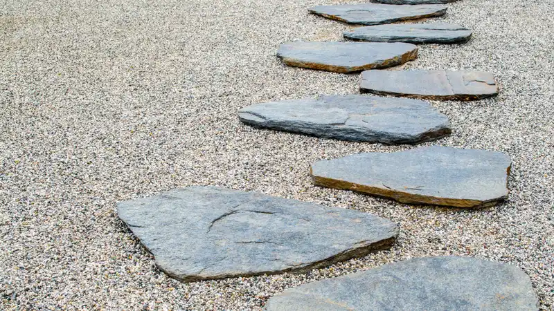 home-cat-paths